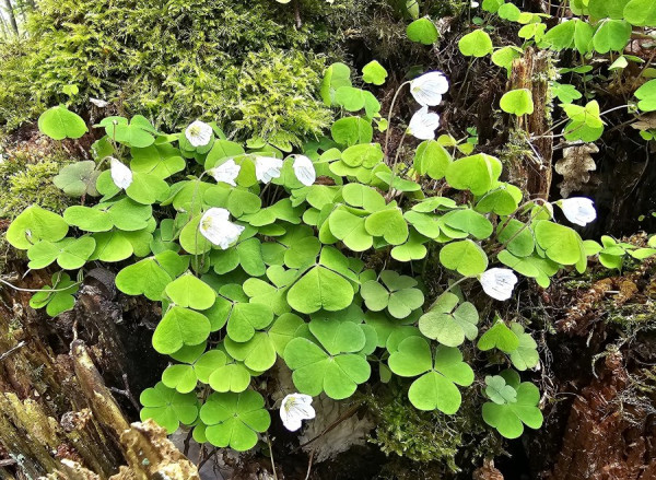 20230427_094157 - Kopie.jpg