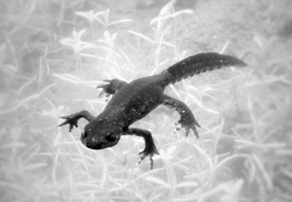 IMG_20200704_191441 (3).jpg