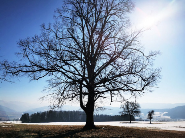 IMG_20210221_113137 (2).jpg