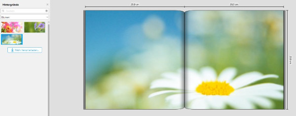 Screenshot Hintergrund1.jpg