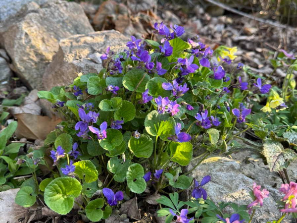 IMG_6447_Bildgröße ändern.JPG