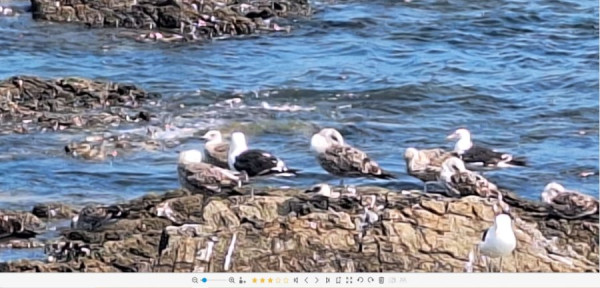 Bewertung Fotoschau.JPG