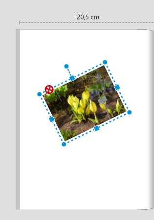 Platzhalter & Bild gedreht.jpg