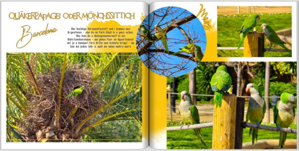 Screenshot 2025-04-13 140410.jpg