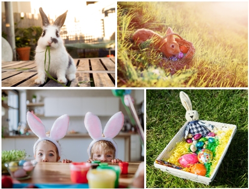 Screenshot 2025-04-11 093316.png