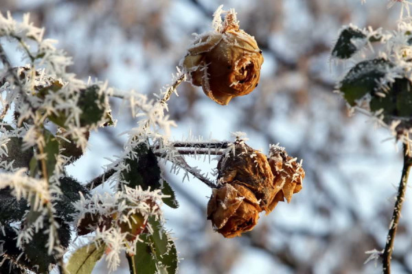 IMG_7870_Bildgröße ändern.JPG