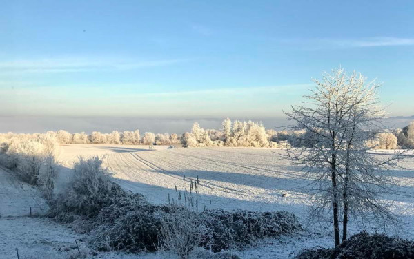 IMG_E2436 - Kopie_Bildgröße ändern.JPG