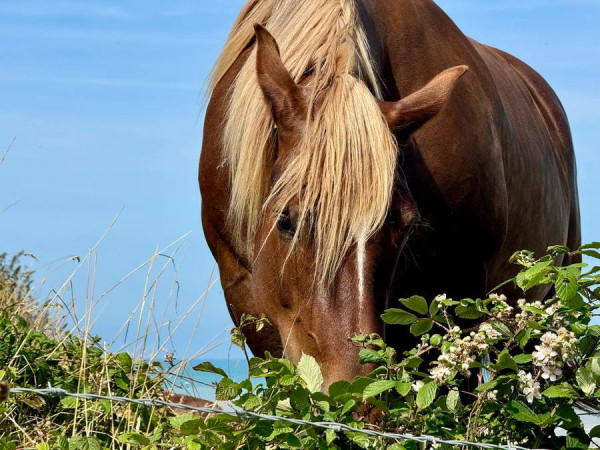 IMG_4962_Bildgröße ändern.JPEG