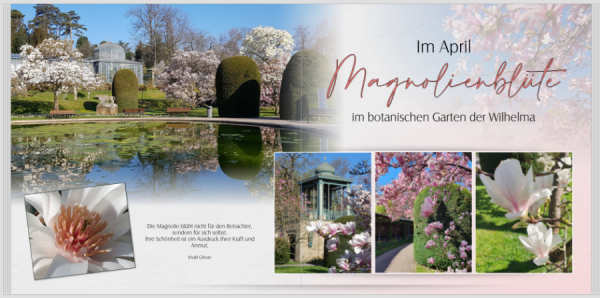 Screenshot 2025-04-30 171730.png