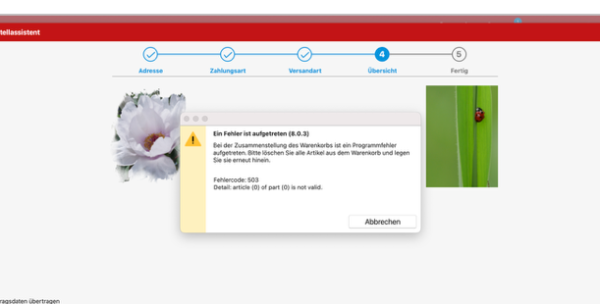 Bestellvorgang.png