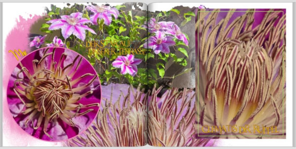 Screenshot 2025-05-12 153258.jpg