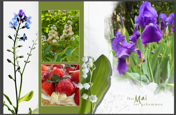 Bildschirmfoto 2025-05-12 um 13.14.47.png