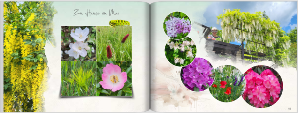 Screenshot 2025-05-27 195411.png