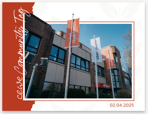 Screenshot 2025-06-03 113523.png