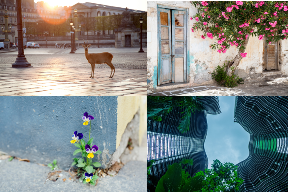 Screenshot 2025-07-01 110957.png