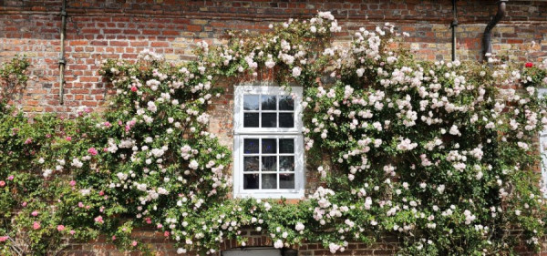 Schloss Husum 2025.jpg