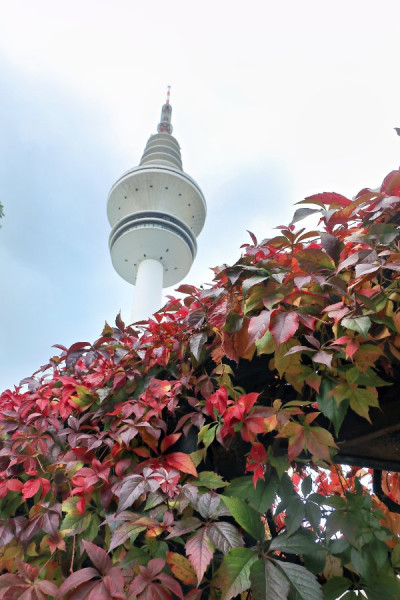 IMG_9186_Radiant (Groß).jpg