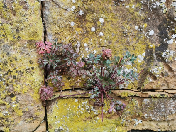 IMG_20220329_105910 - Kopie.jpg