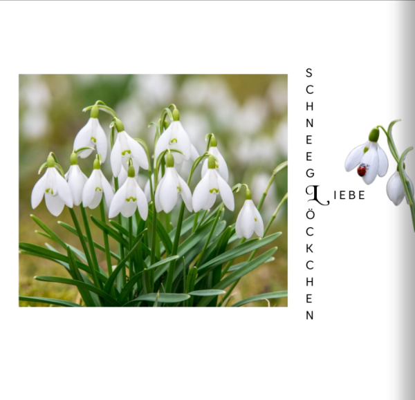 Screenshot (292).png