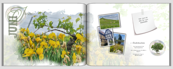 Screenshot (440).png