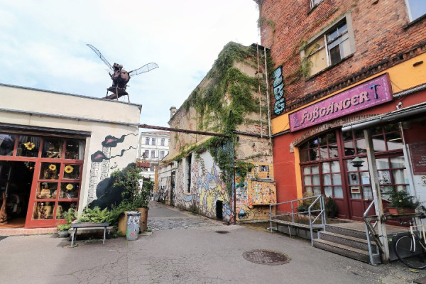 IMG_0448_Radiant (Groß).jpg