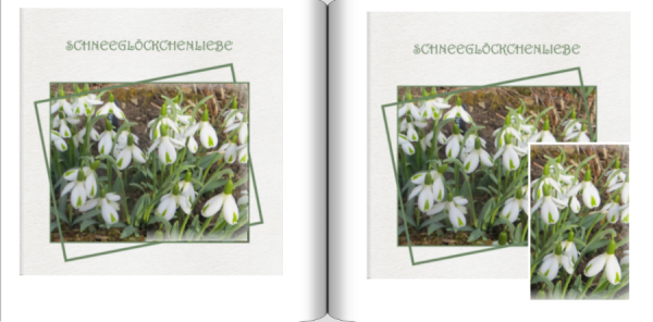 Screenshot (298).png