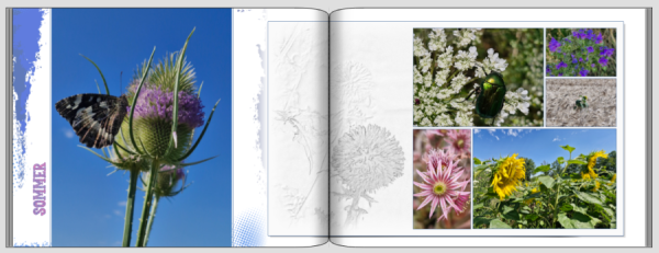 Screenshot (449).png