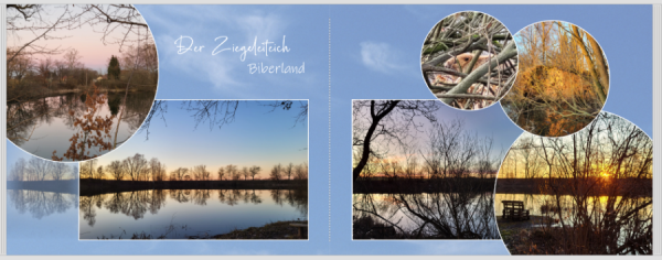 Screenshot 2025-07-17 235607.png