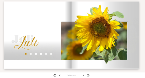 Schniepsback Jahrbuch 2022.png