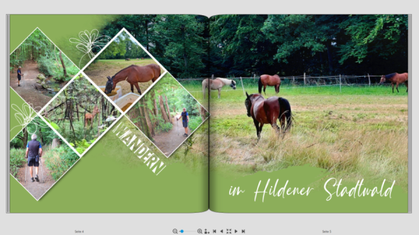 für CEWE Juni Contest.png