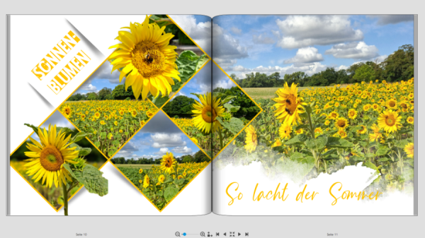 meine Juli-Seite.png