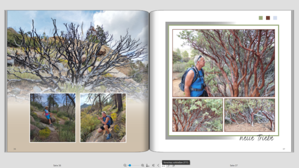 Screenshot 2025-07-25 164515 verkleinert.png