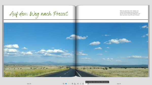 Screenshot 2025-07-25 164526 verkleinert.png