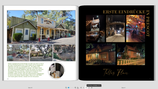 Screenshot 2025-07-25 164538 verkleinert.png