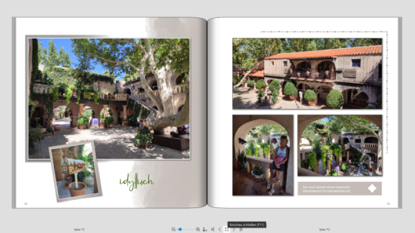 Screenshot 2025-07-25 164816 verkleinert.png