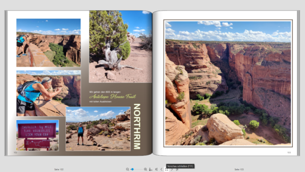 Screenshot 2025-07-25 165100 verkleinert.png