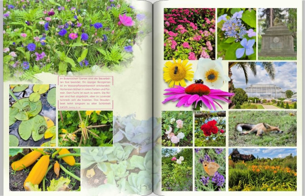 screenshot (161)-cut_q68p4yix_1ä.jpg