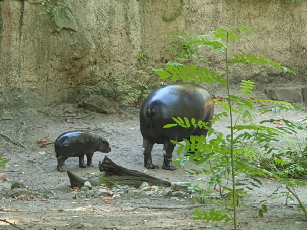 20240829_152443 - Kopie.jpg