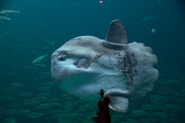 04.19.Däne (97).jpg