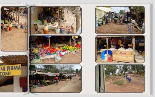 Bilder verschoben.jpg