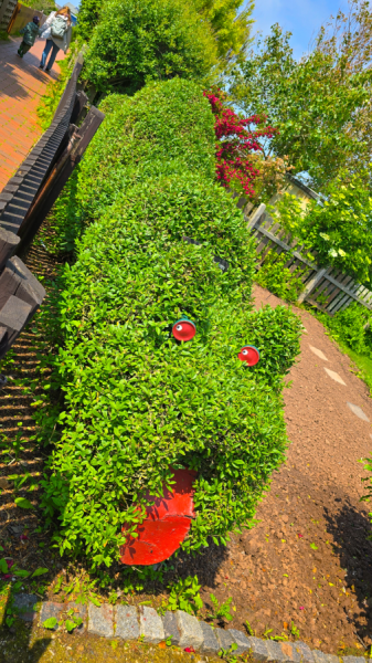 Projekt Bildgröße ändern (3).png