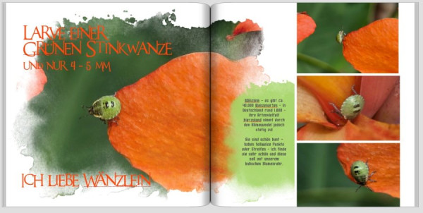 Screenshot 2025-08-06 132520.jpg