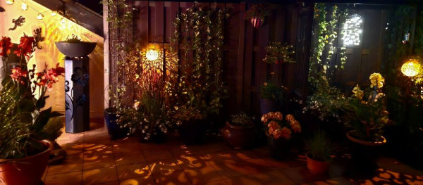 Adobe Express - file (2).jpg