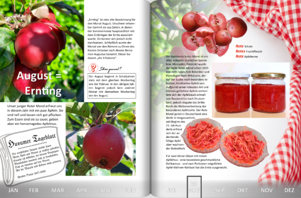 Screenshot (360).png