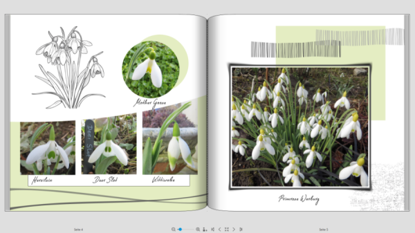 Screenshot (111).png