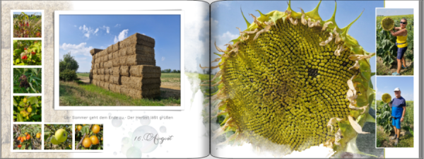 Screenshot (450).png