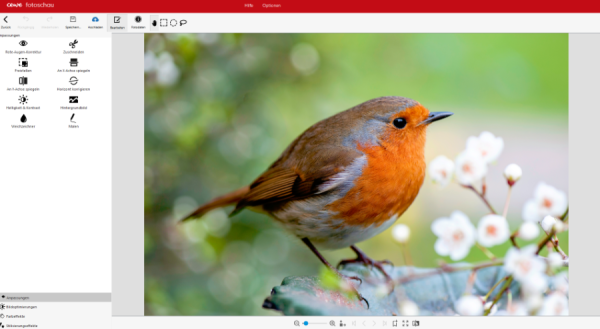 Screenshot 2025-09-03 112522.png