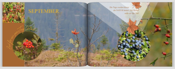 Ohne Titel 6 (1).jpeg