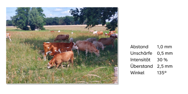 Screenshot (378).png