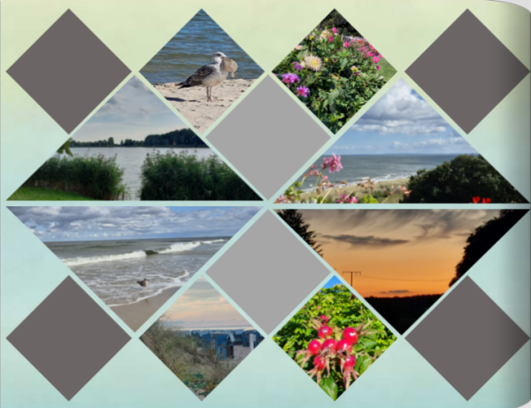 letzte seite-neu.png